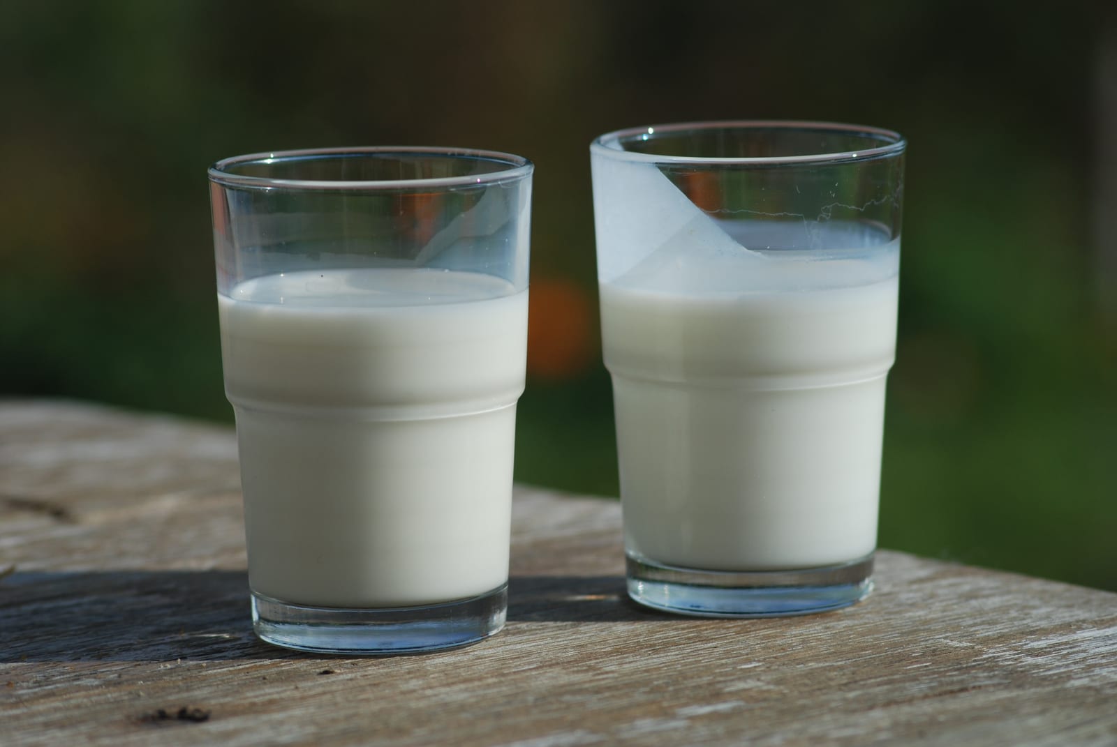Two glasses on a wooden table, with milk on the left and thicker buttermilk on the right.