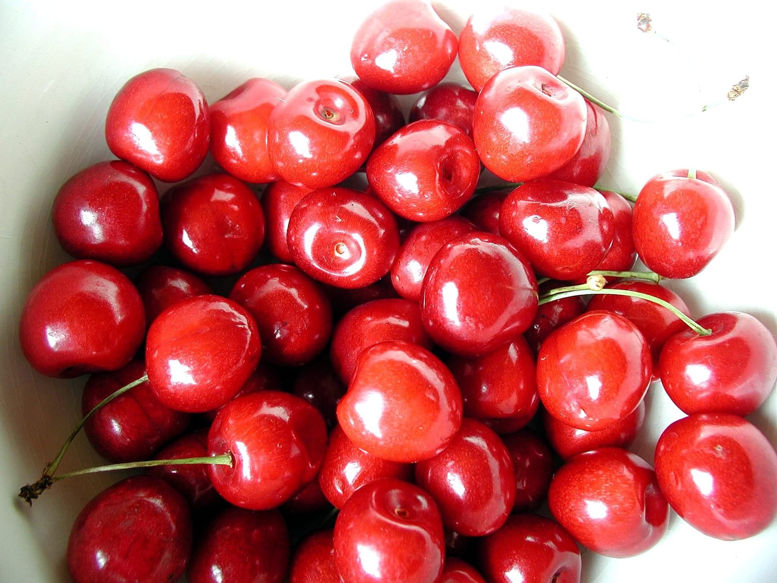 Glossy red cherries filling a white bowl.