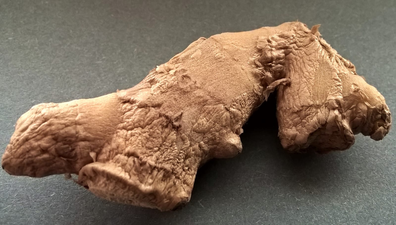 Close view of a branching fresh ginger root on a dark work surface.