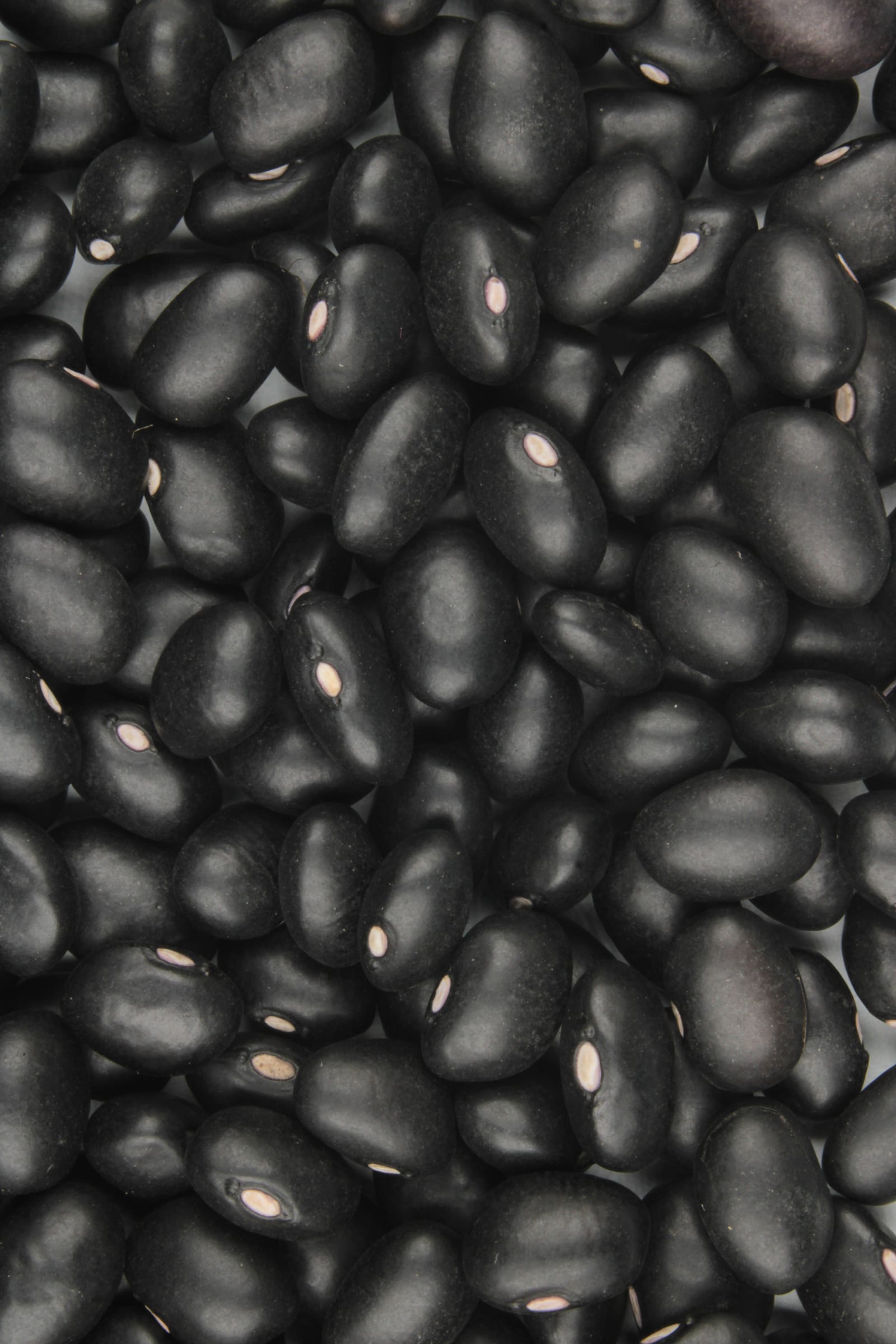 A tight overhead field of uncooked matte-black beans.