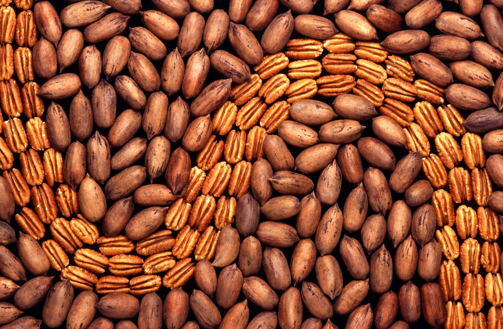 Shelled pecan halves scattered across a wooden surface.