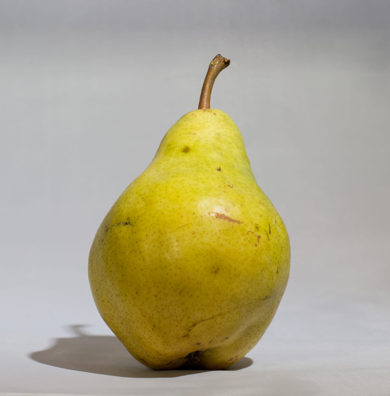 A single yellow-green Bartlett pear against a neutral gray background.