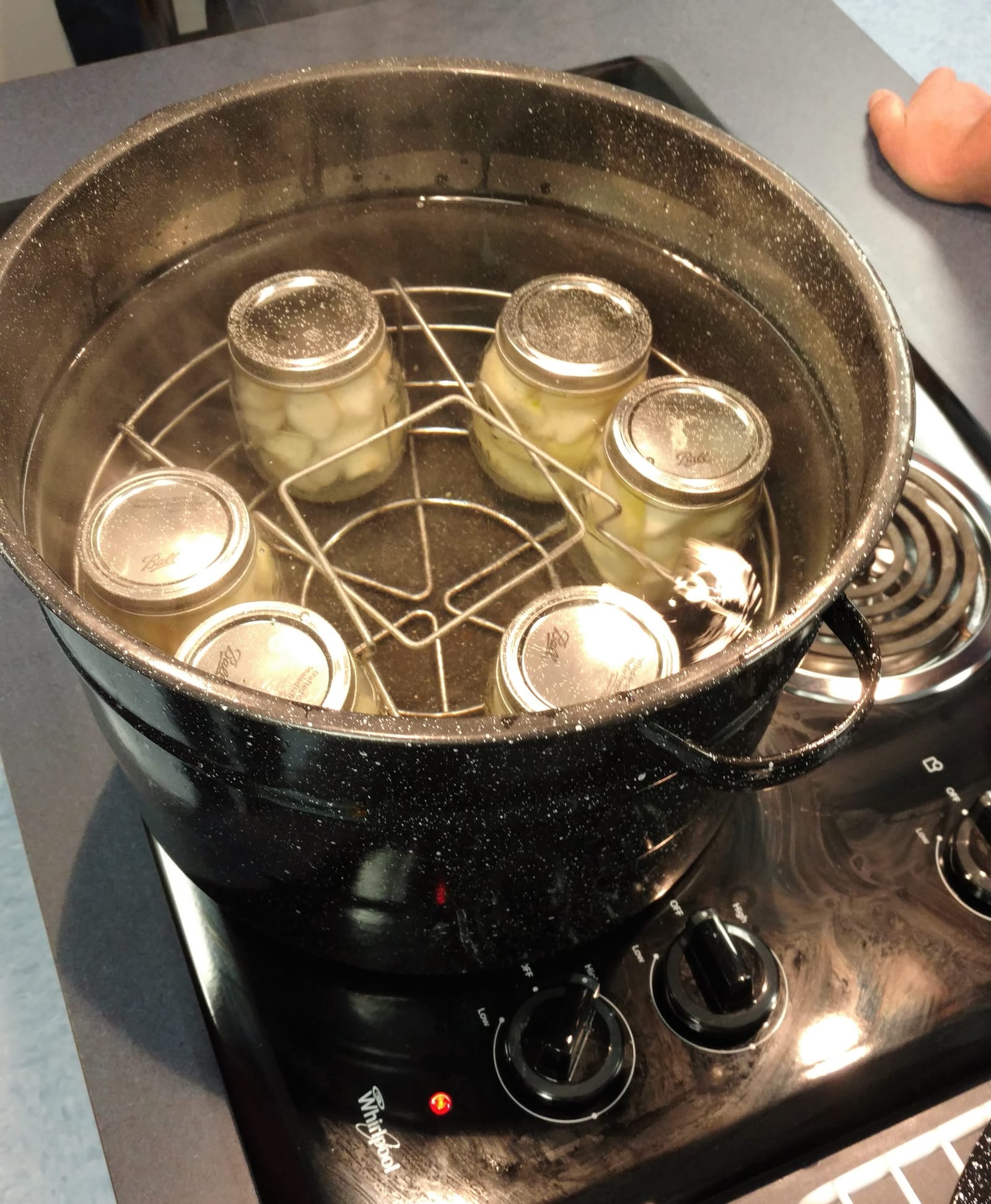 Glass jars of pears standing on a rack inside a boiling-water canner.