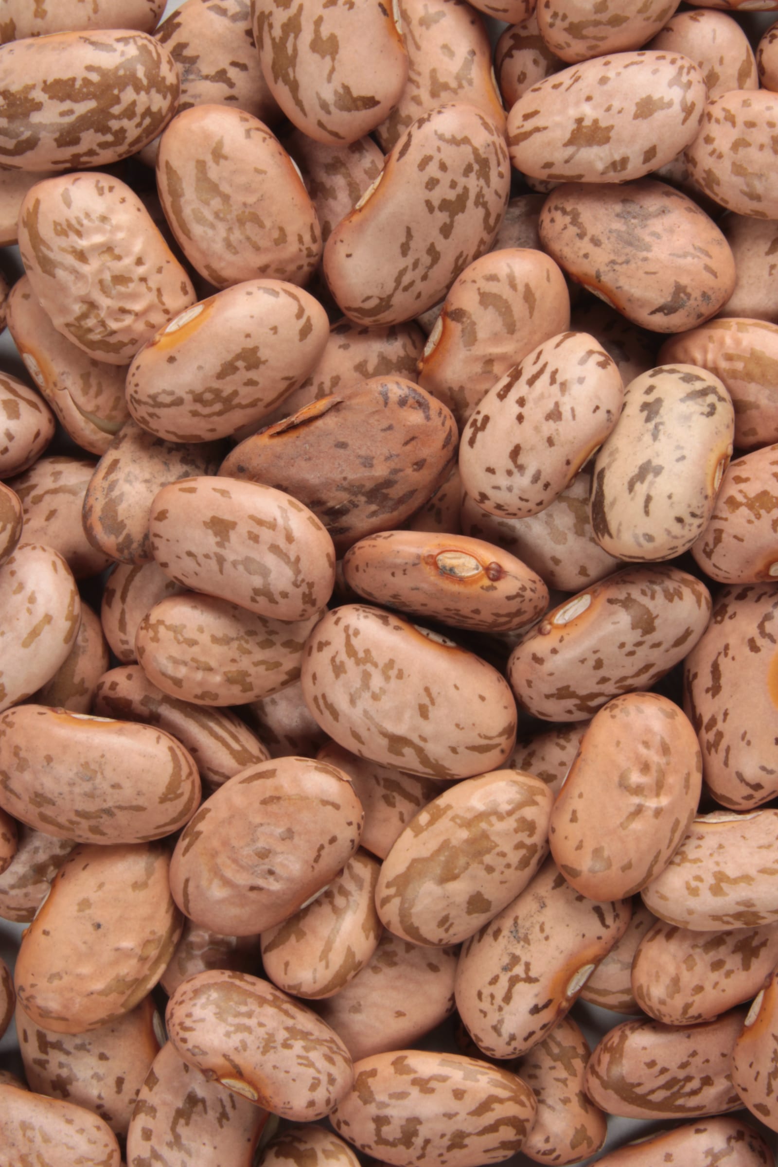 A close pattern of dry pink-and-brown pinto beans.