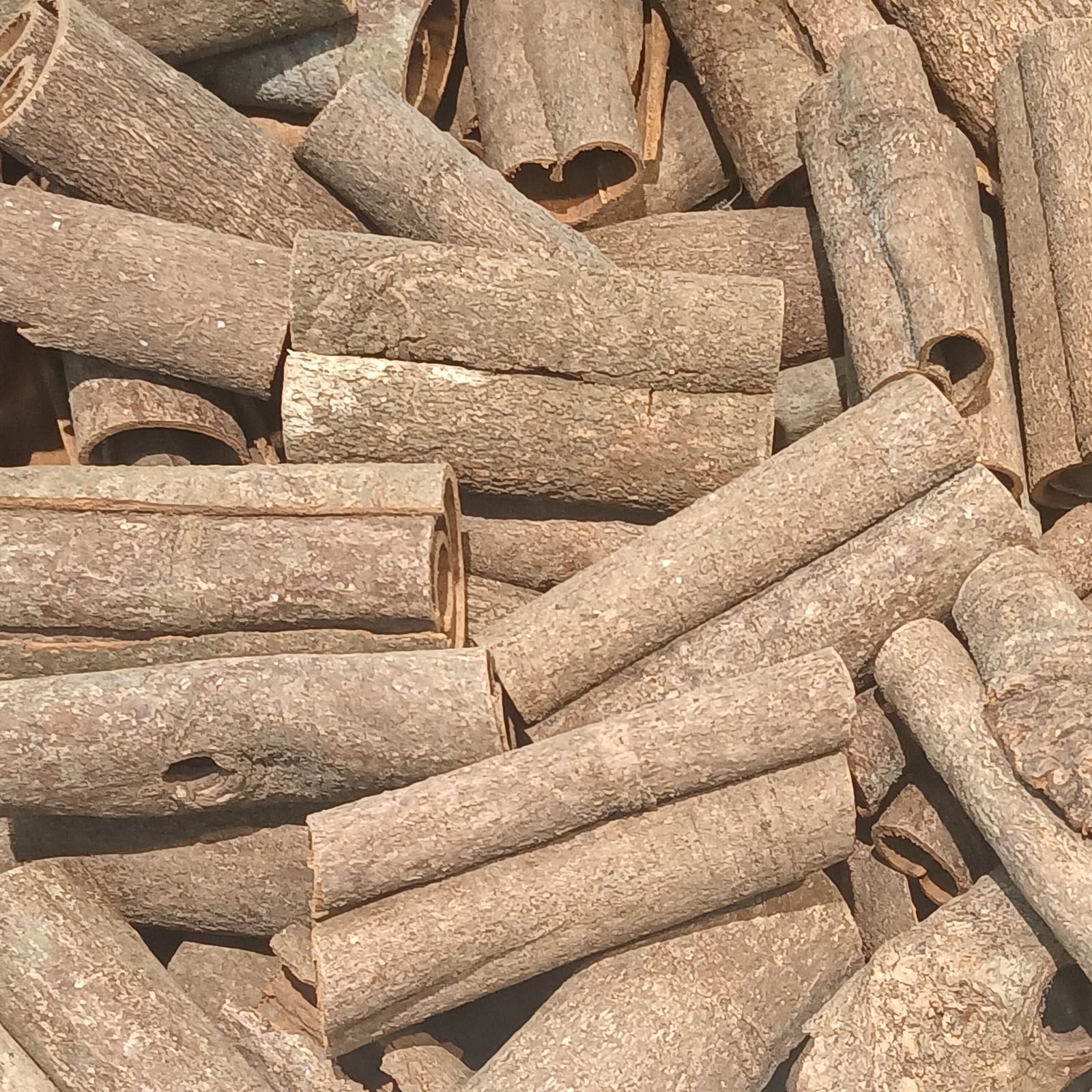 A dense pile of curled cinnamon bark in warm taupe and brown tones.