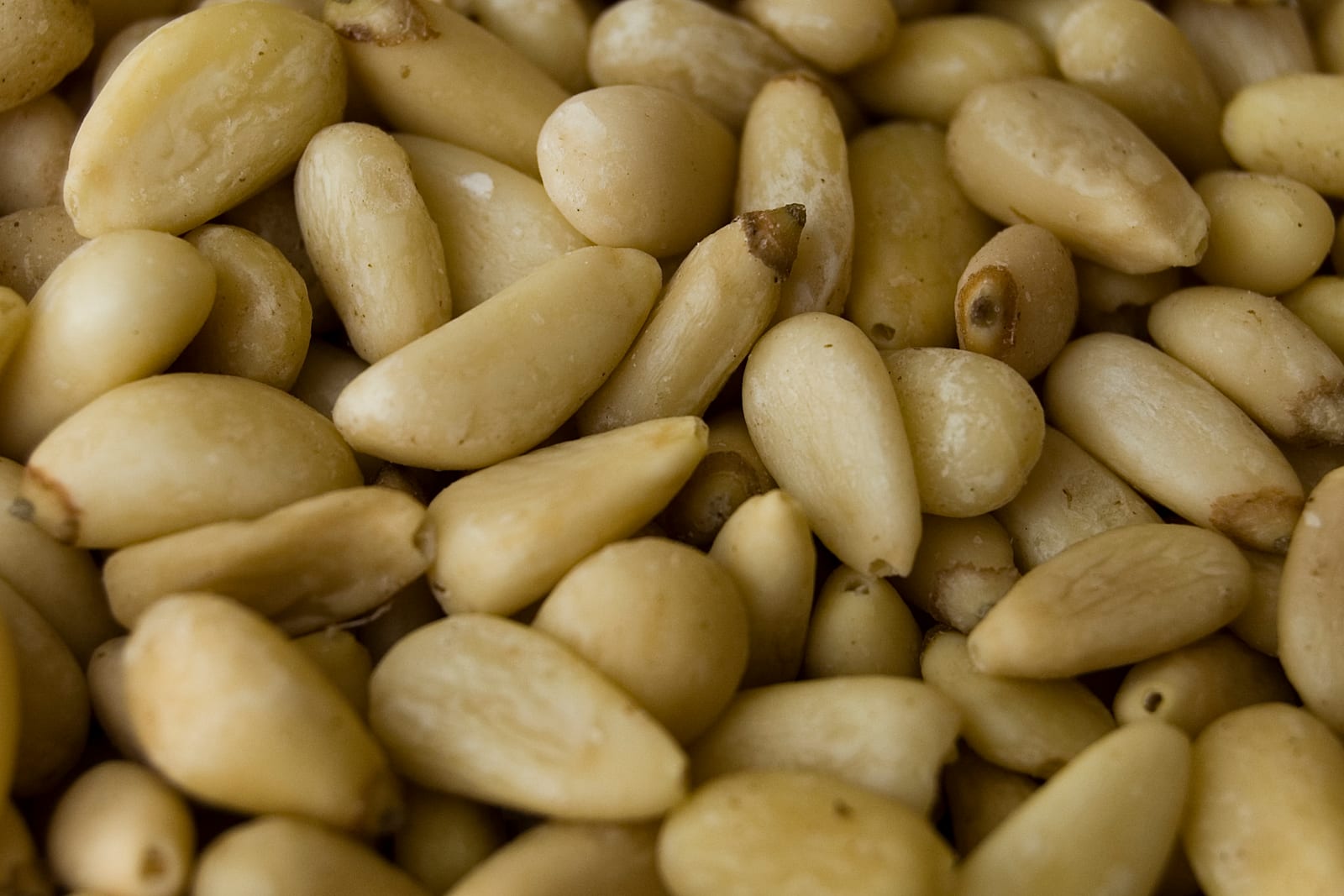 Shelled pine nuts scattered across a pale work surface.