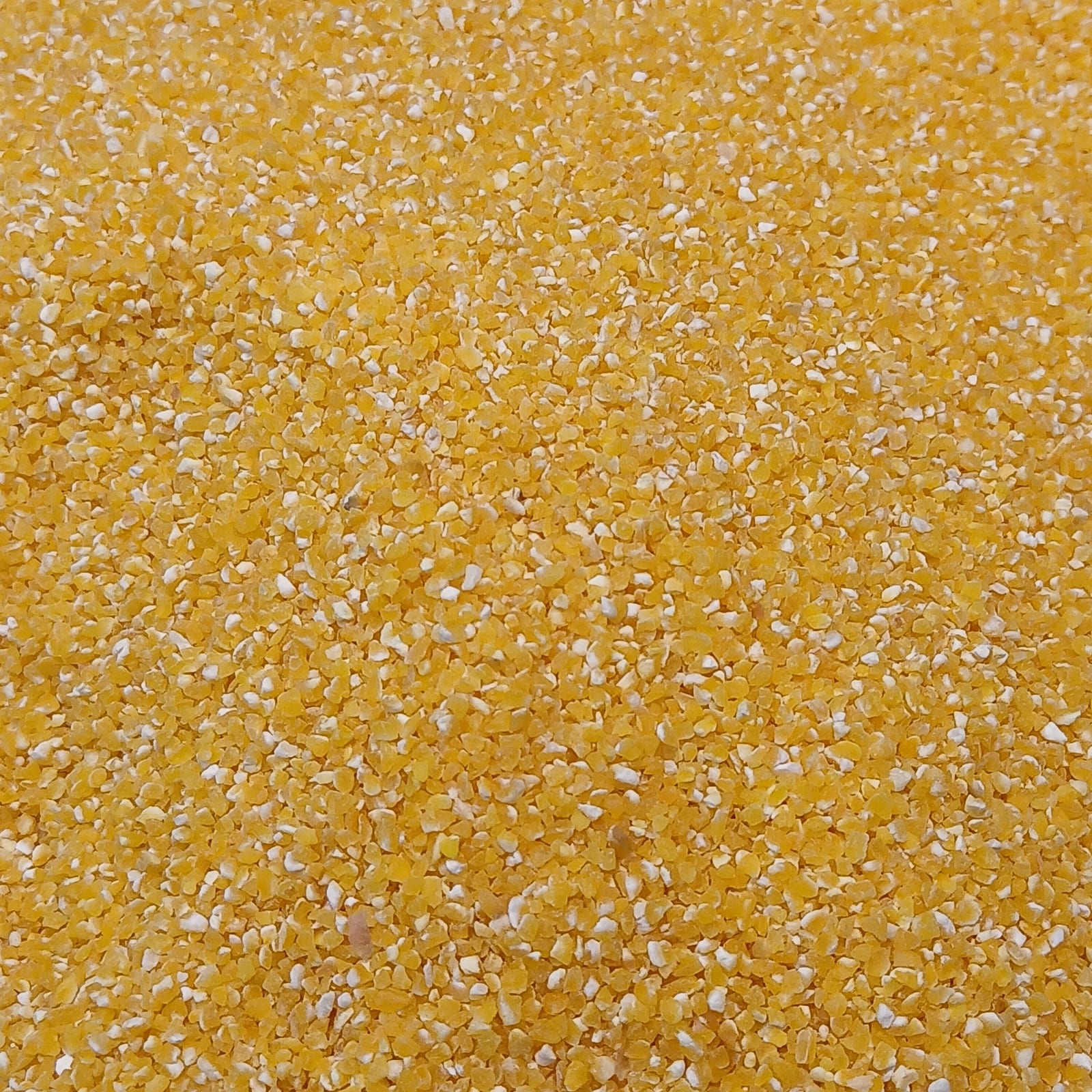 Close view of coarse yellow corn grits with pale flecks.