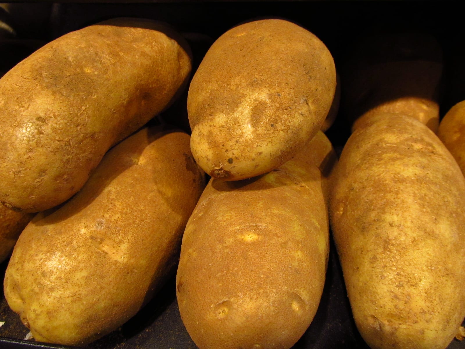 Several unpeeled russet potatoes piled together under warm light.