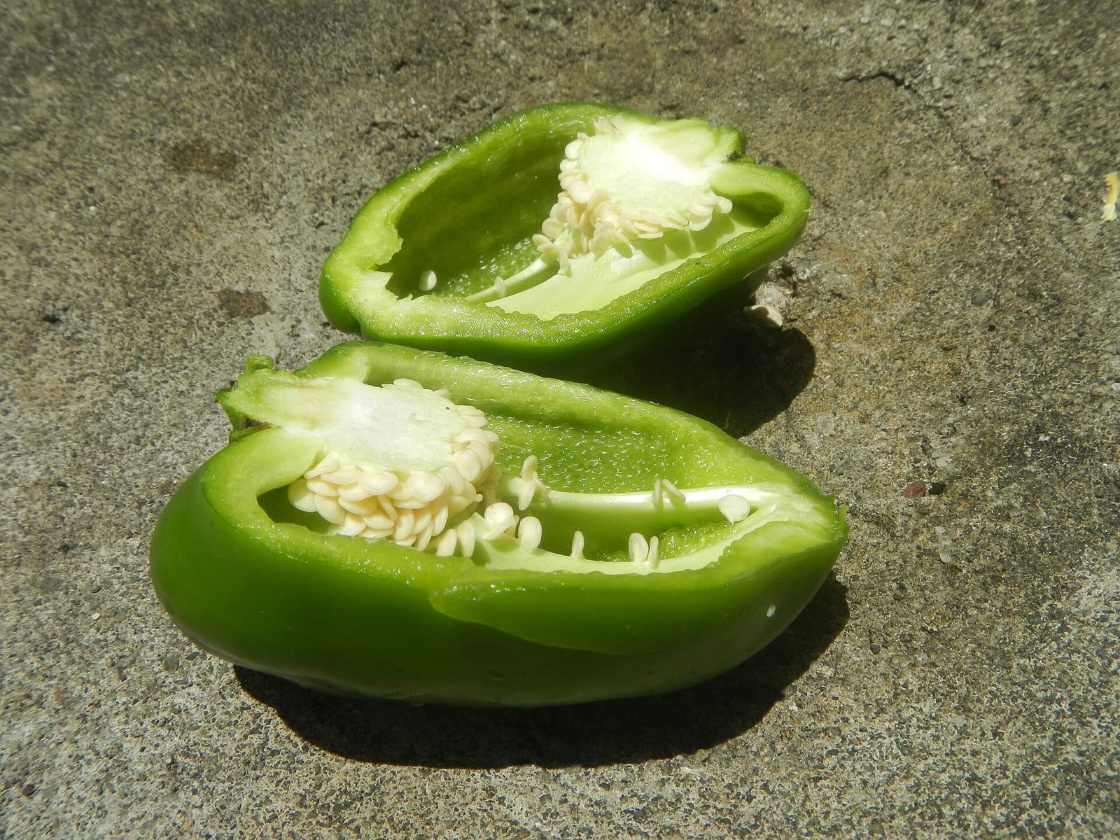 Two green bell pepper halves with seeds and pale ribs still attached.