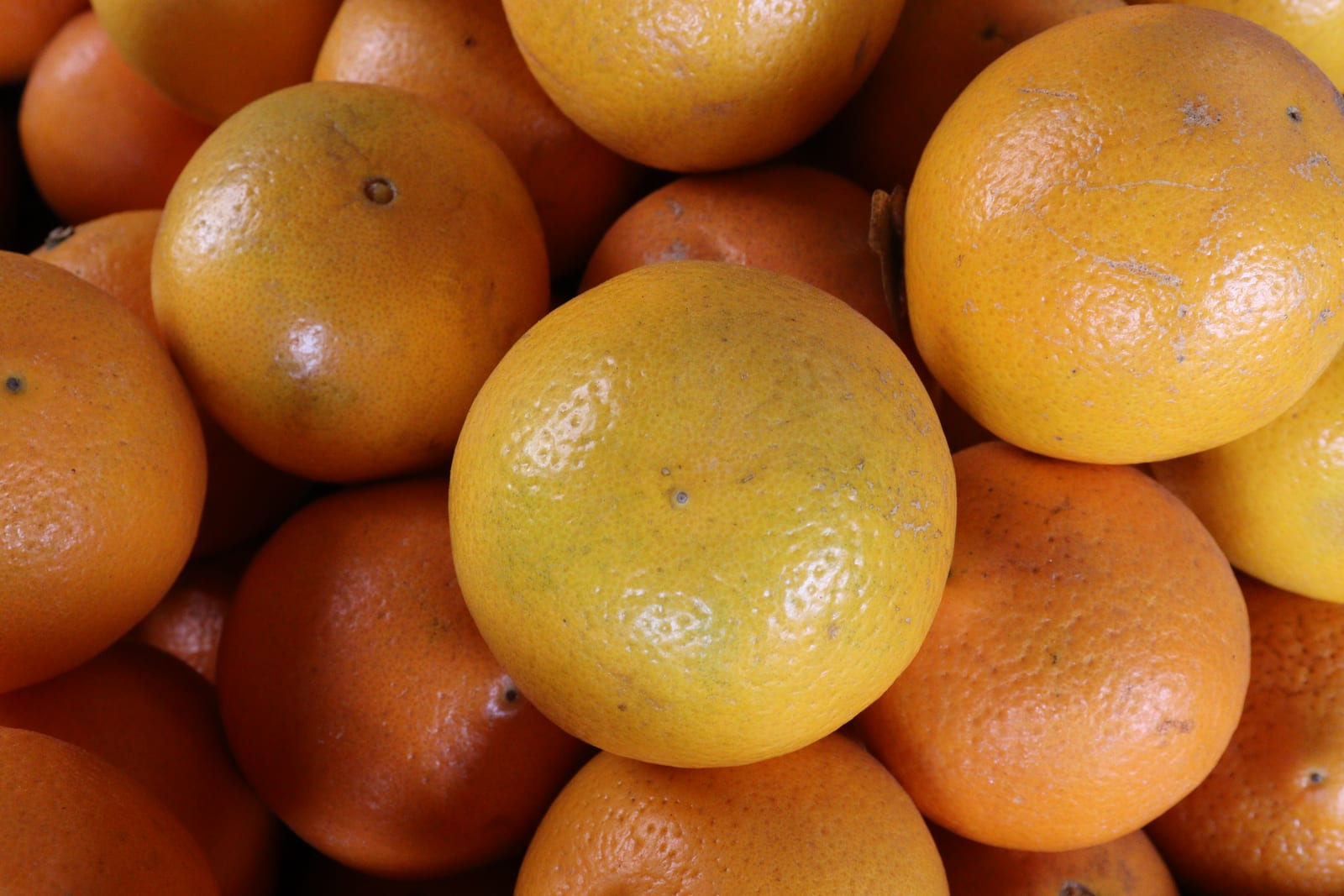 A close market display filled edge to edge with ripe oranges in yellow and deep orange tones.