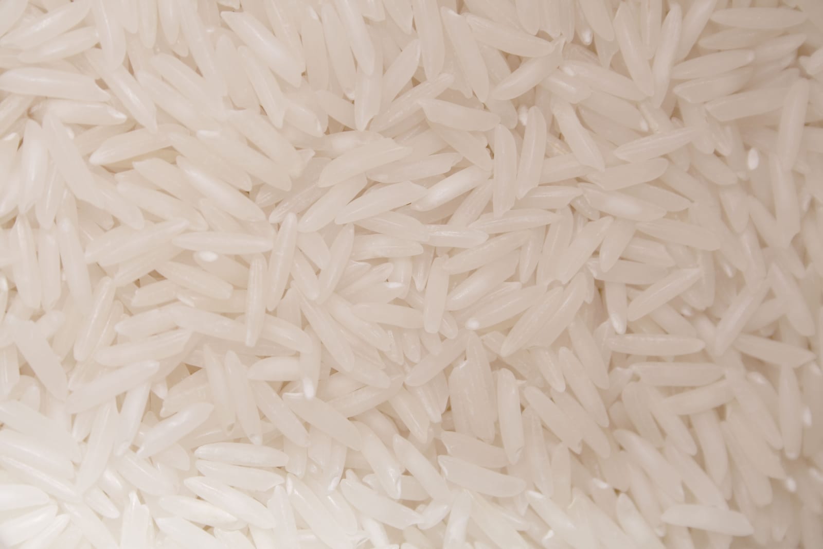 Extreme close-up of uncooked long-grain jasmine rice.