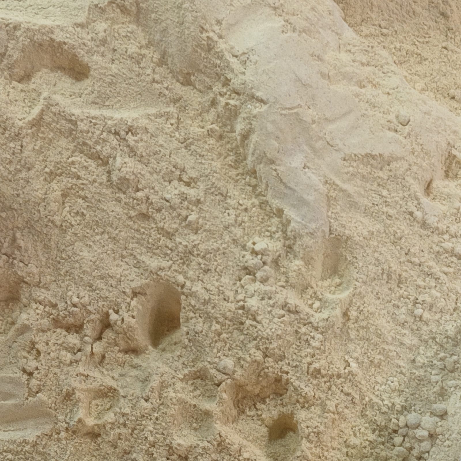 A close square field of pale beige ground ginger with shallow scoop marks.