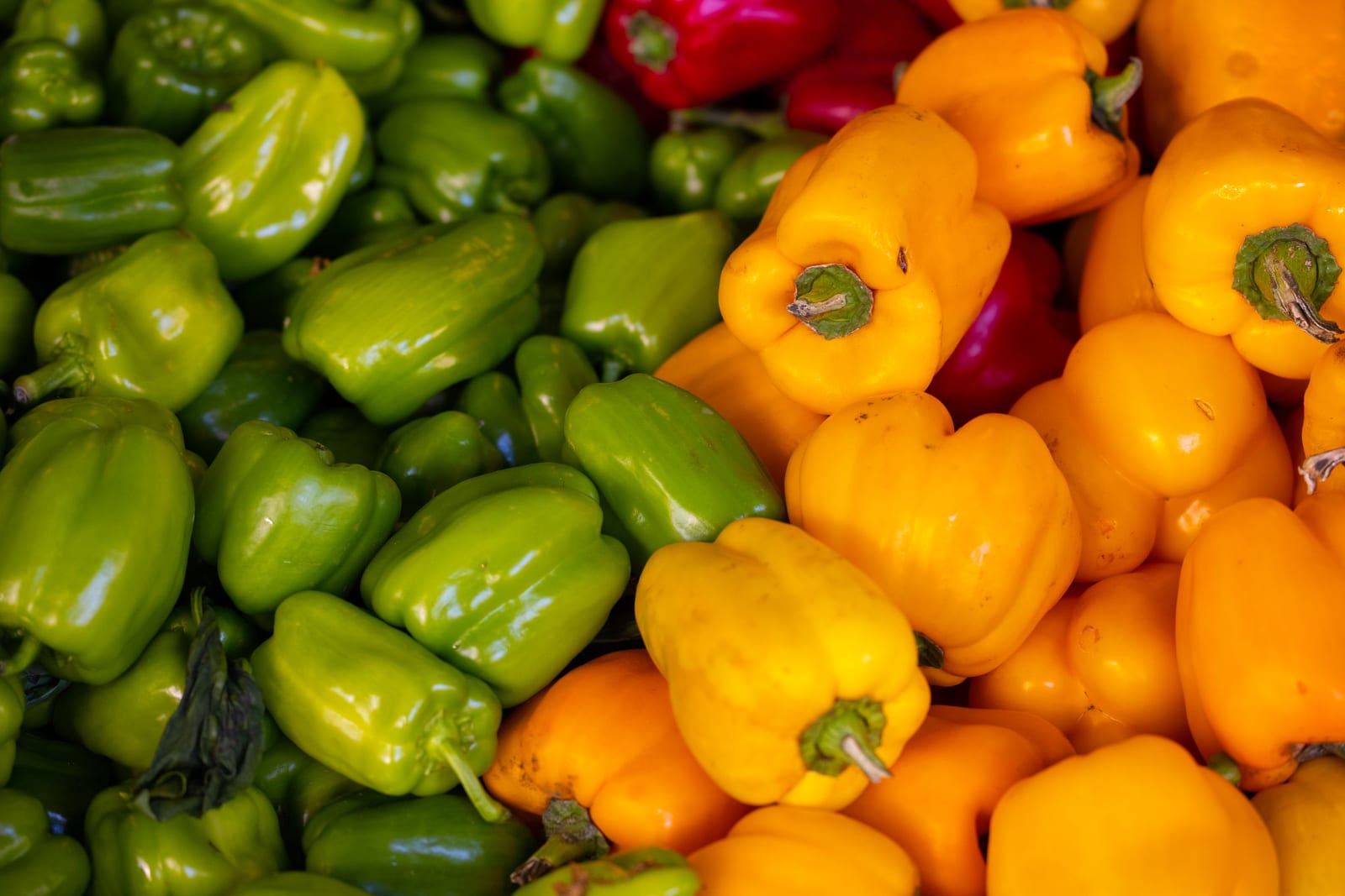 A market display piled with glossy green, yellow, orange, and red bell peppers.