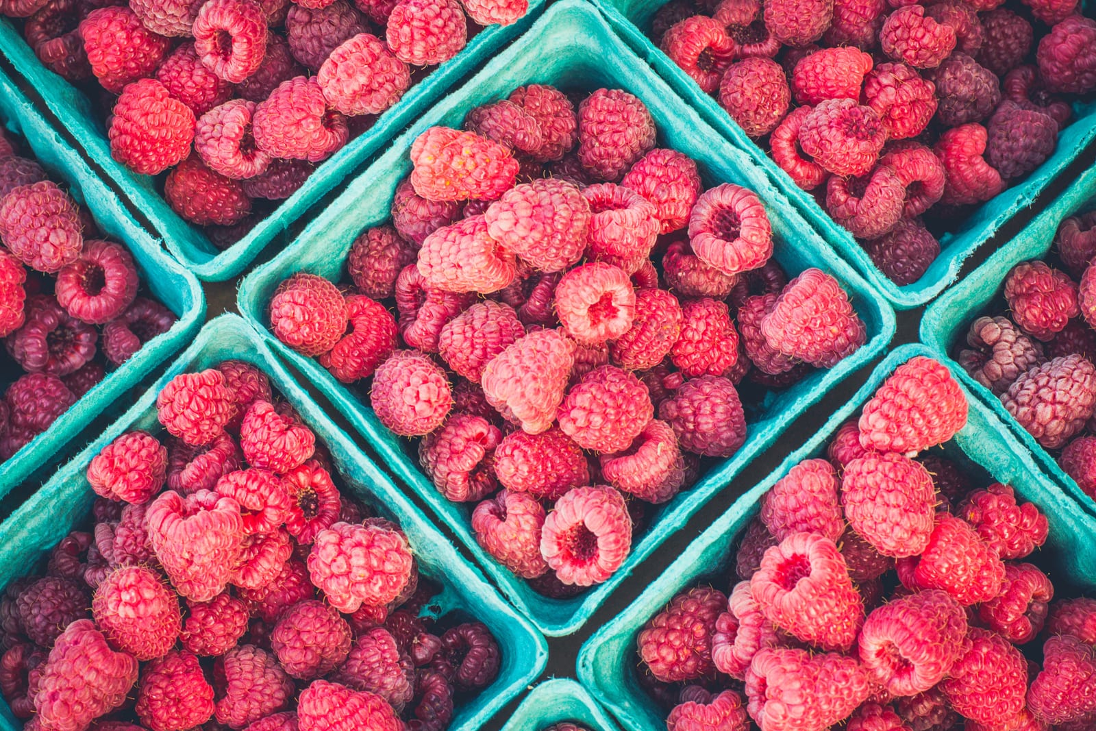 Fresh red raspberries packed into turquoise paper berry baskets.