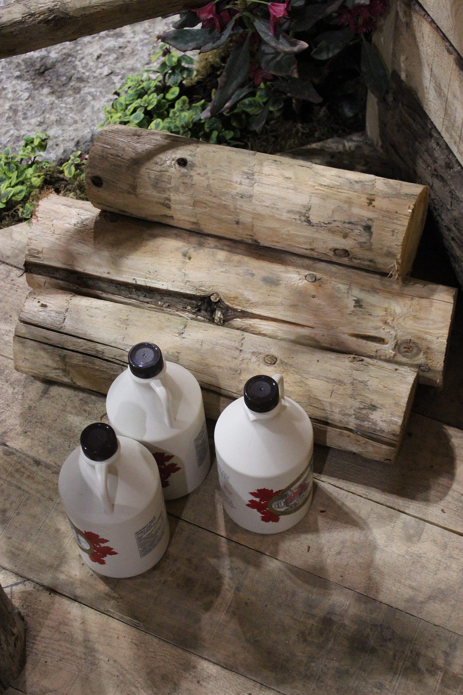 Three white jugs of Canadian maple syrup arranged on rustic wooden crates.