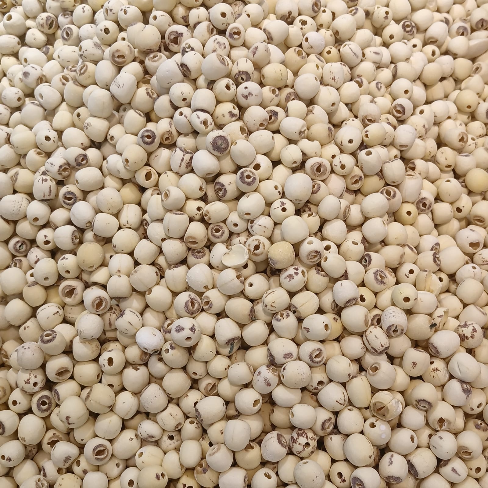 A close view of pale, coreless white lotus seeds.