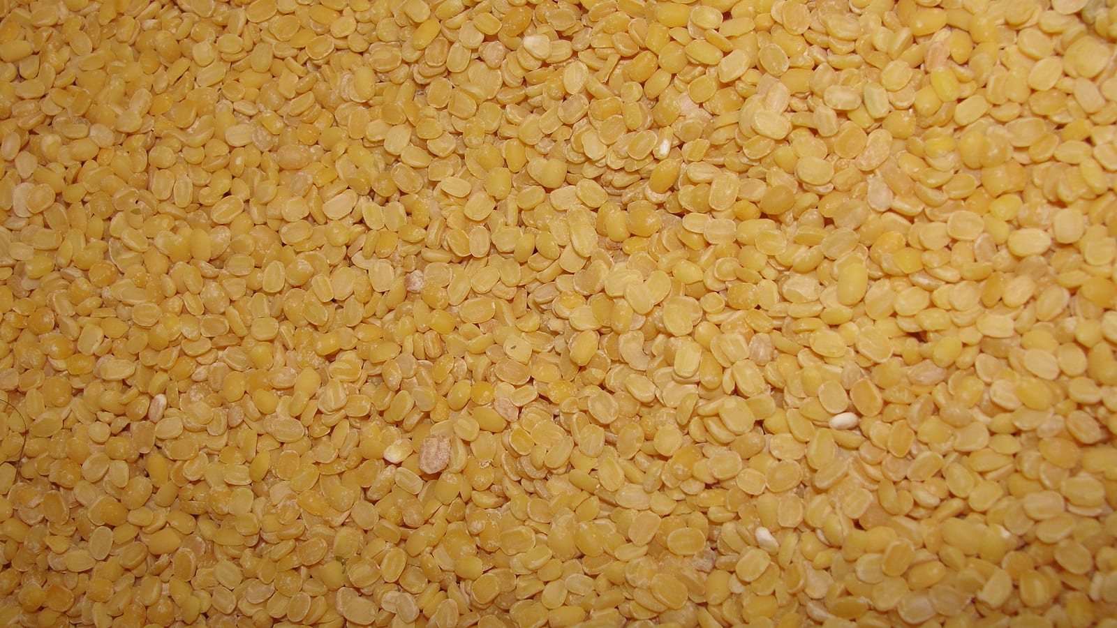 A close view of hulled and split yellow mung beans.