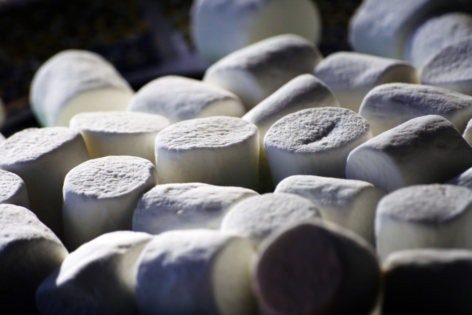 White cylindrical marshmallows piled together in dramatic side light.