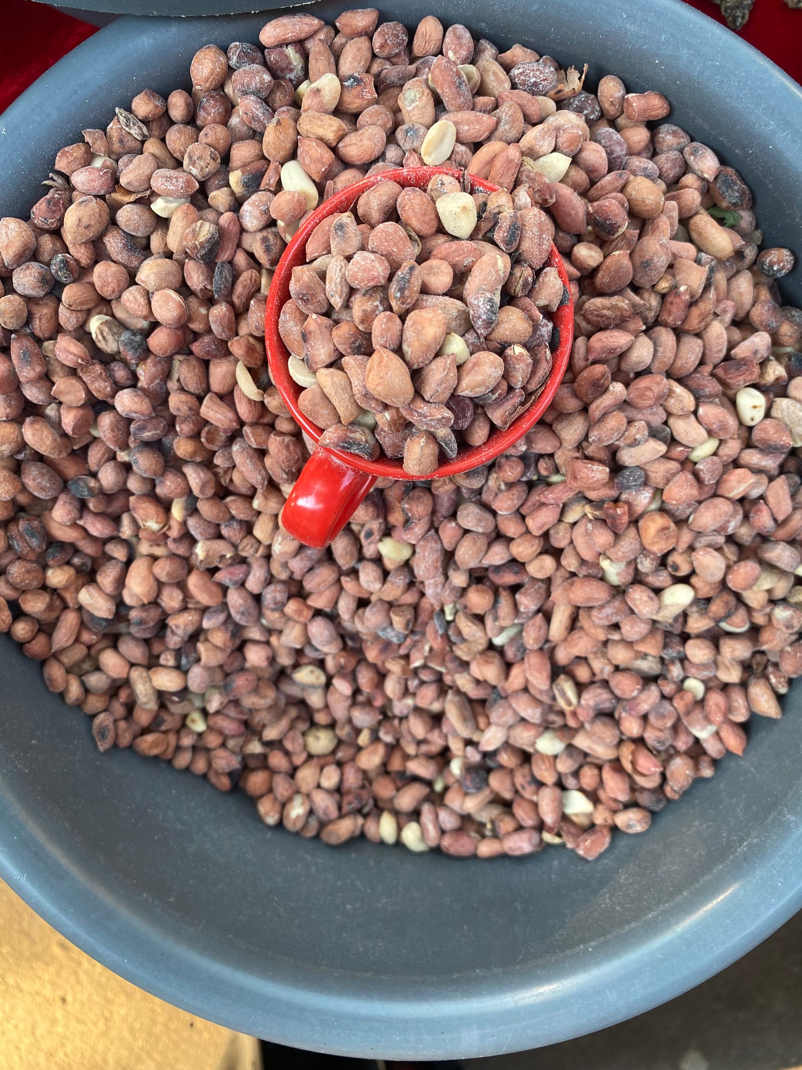 Roasted peanuts gathered in a red scoop and a large bowl.