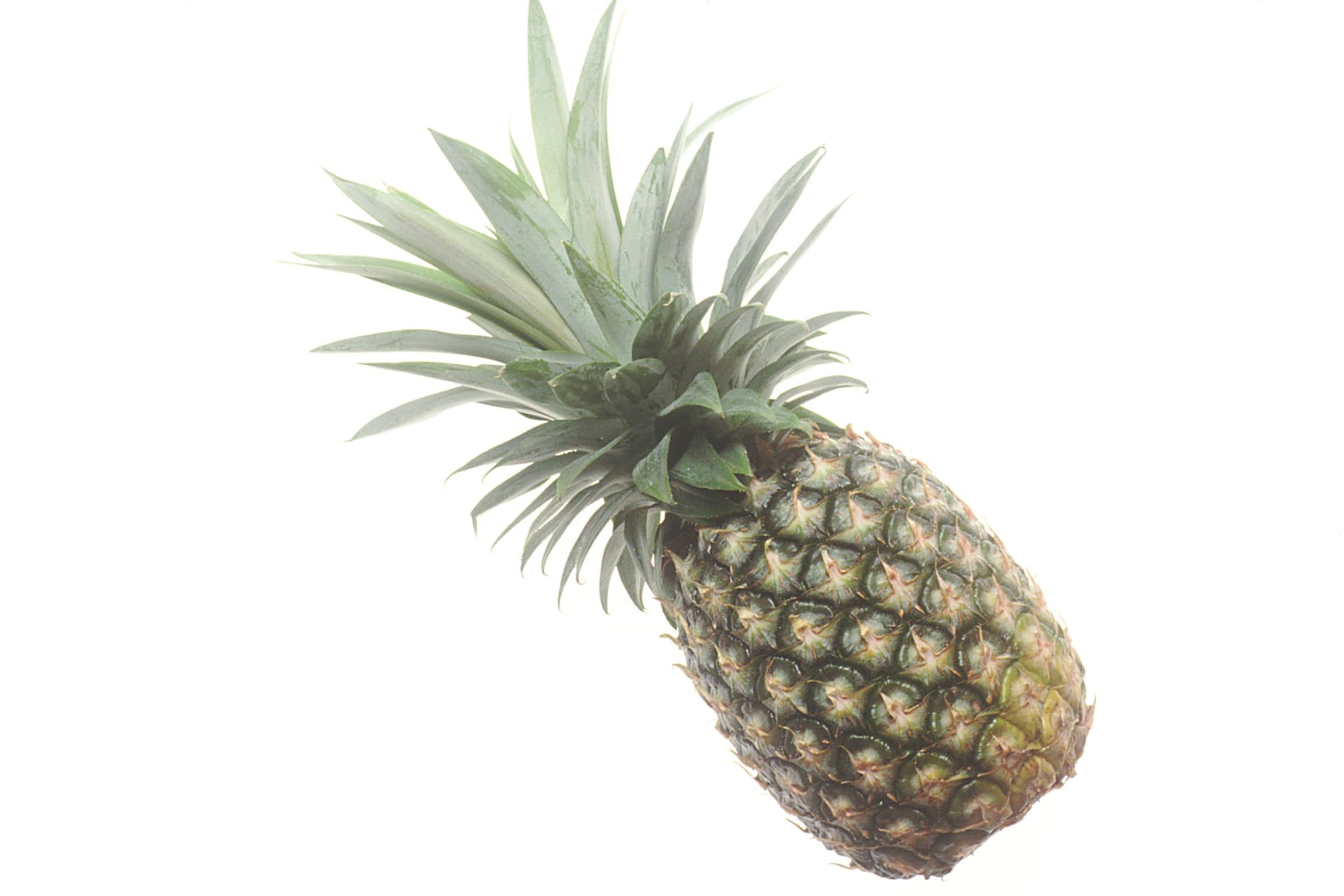 A whole ripe pineapple photographed against a pale background.