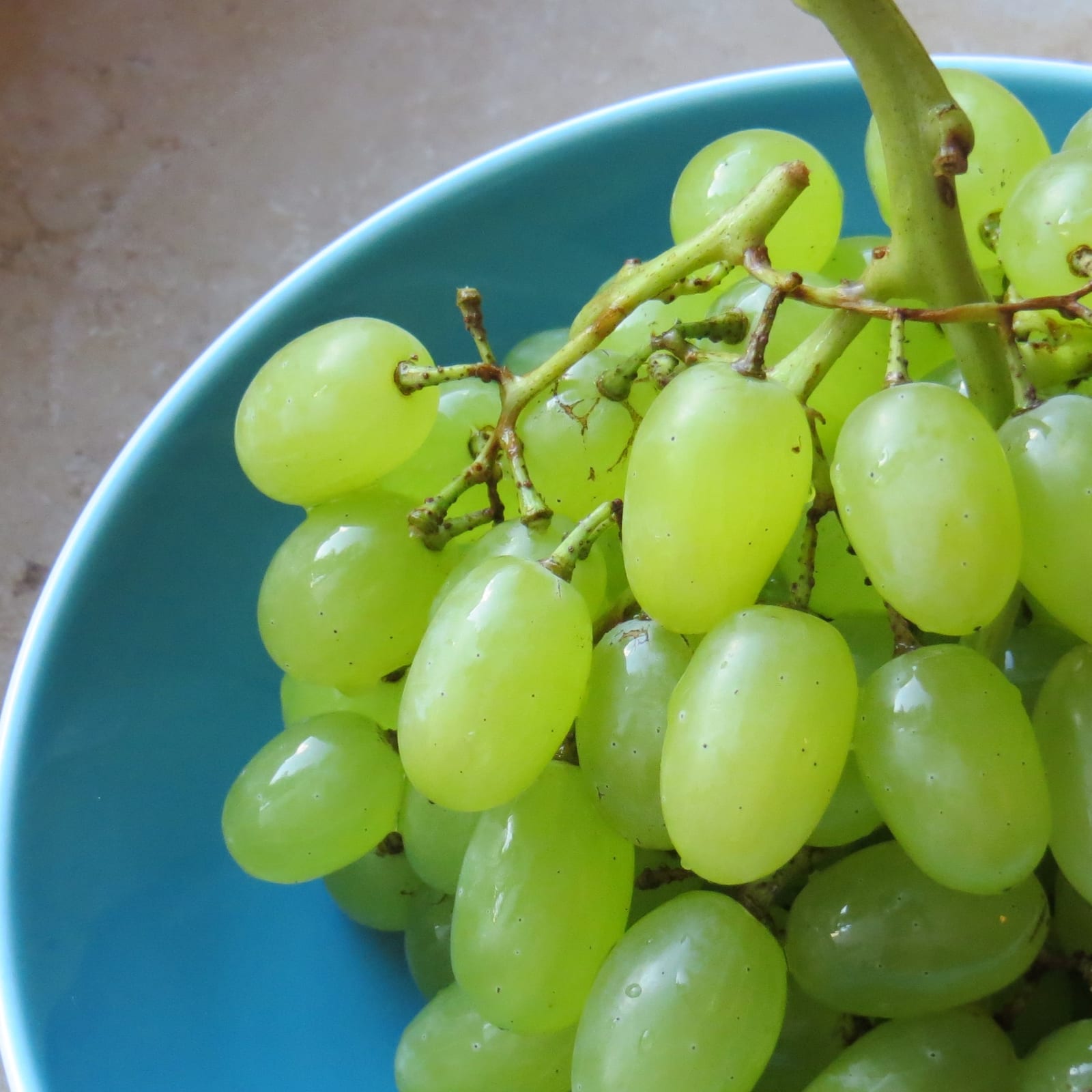 A close view of seedless green grapes gathered in a turquoise bowl.