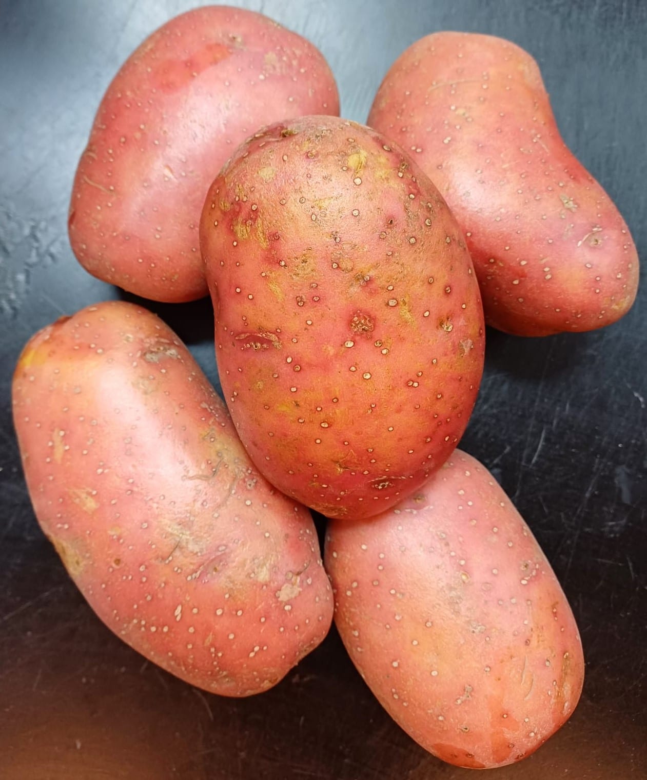 Five whole red-skinned potatoes arranged on a dark surface.