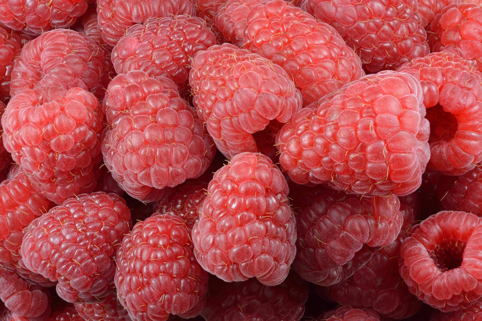 Macro photograph filling the frame with ripe red raspberries.
