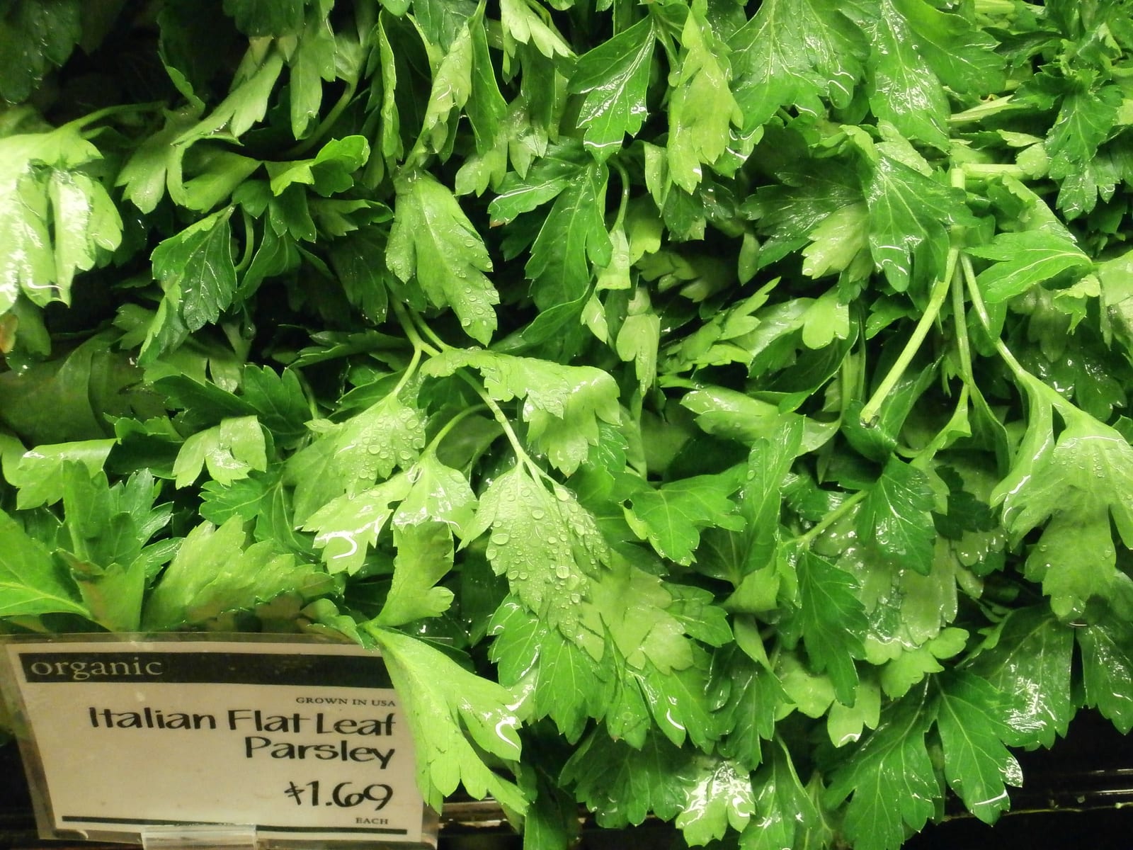 A dense display of wet Italian flat-leaf parsley at a grocery store.