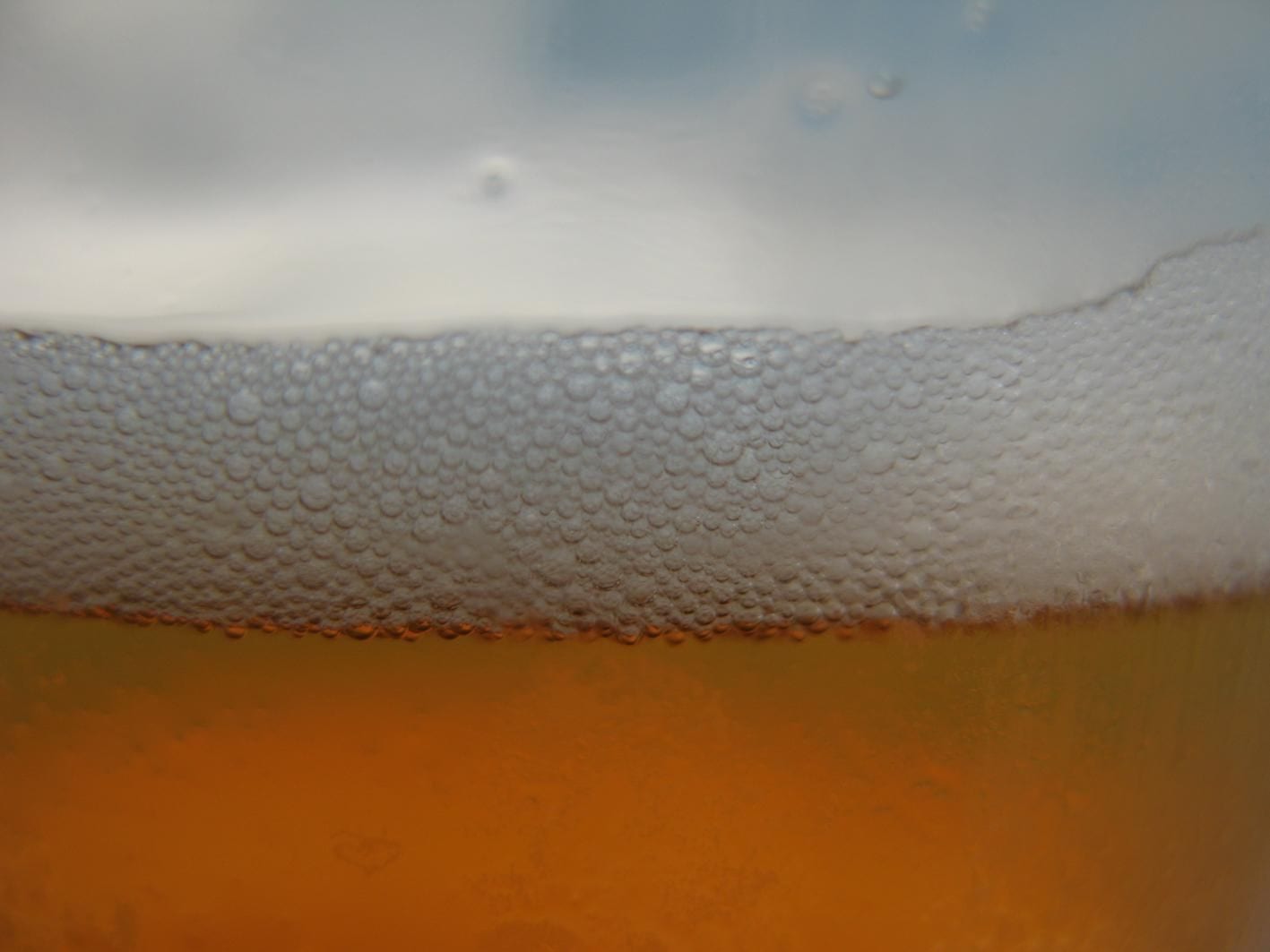 A close-up band of fine white beer foam floating over amber lager.