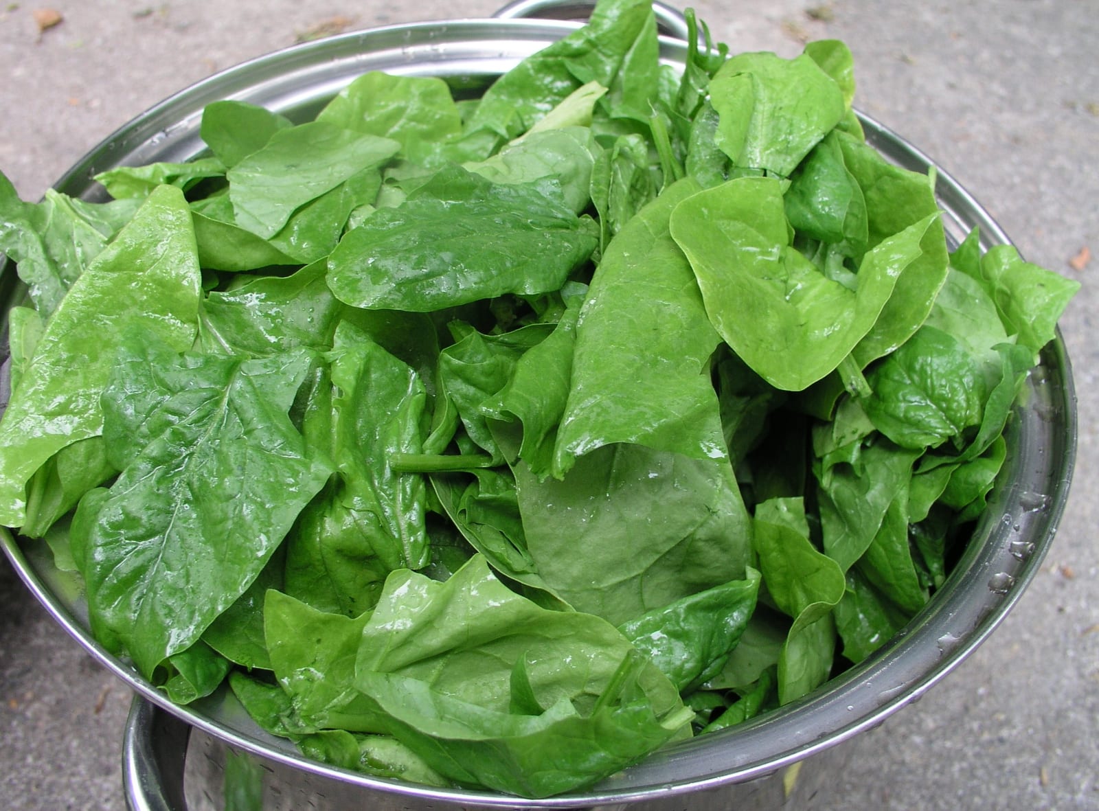 Fresh green spinach leaves gathered in a wide metal bowl.