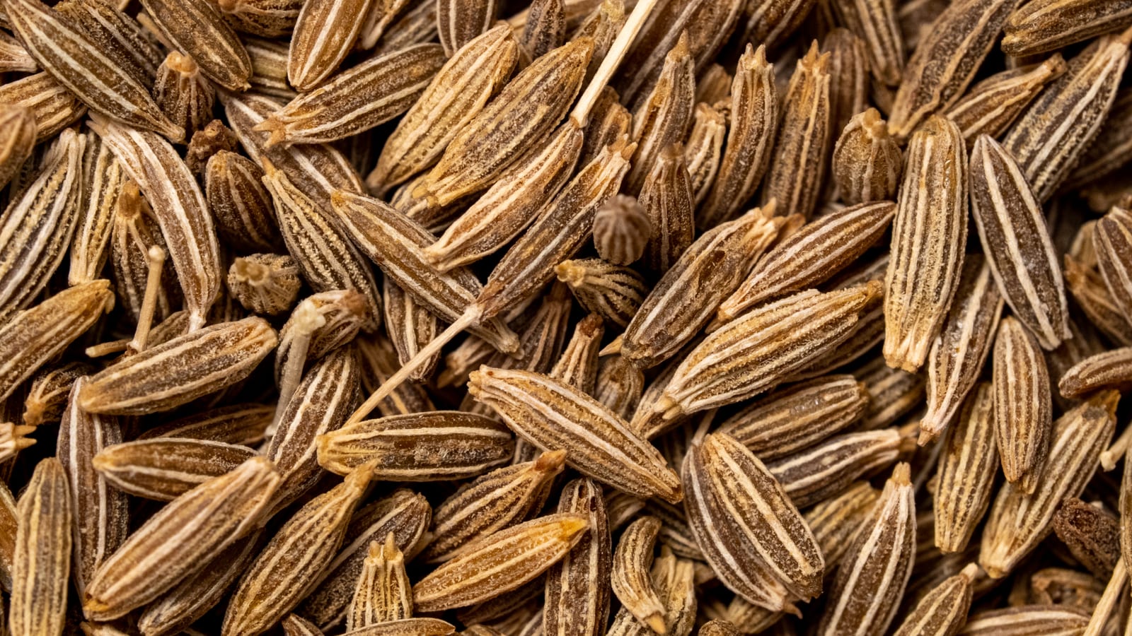 Extreme close-up of striped brown cumin seeds filling the frame.