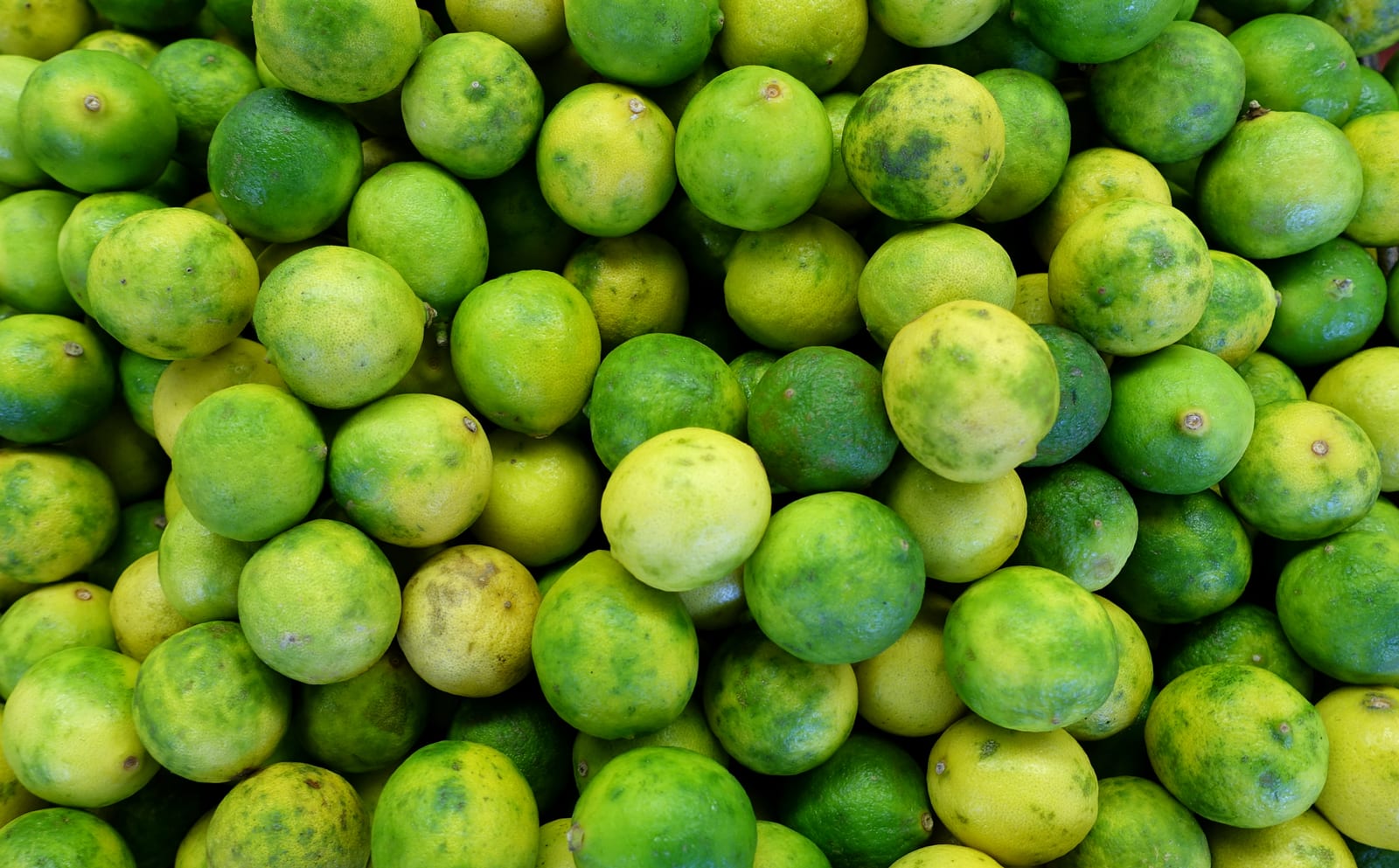 A market display filled edge to edge with small green and yellow Key limes.